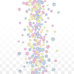 Vector Realistic Pink Petals Falling on Transparent Background.  Spring Romantic Flowers Illustration. Flying Petals. Sakura Spa Design. Blossom Confetti.