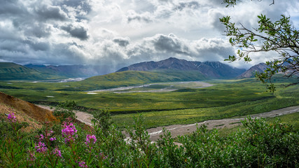 Fototapeta premium Denali national park mountains panoramic view, Alaska
