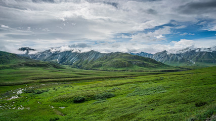 Fototapeta na wymiar Denali national park mountains panoramic view, Alaska