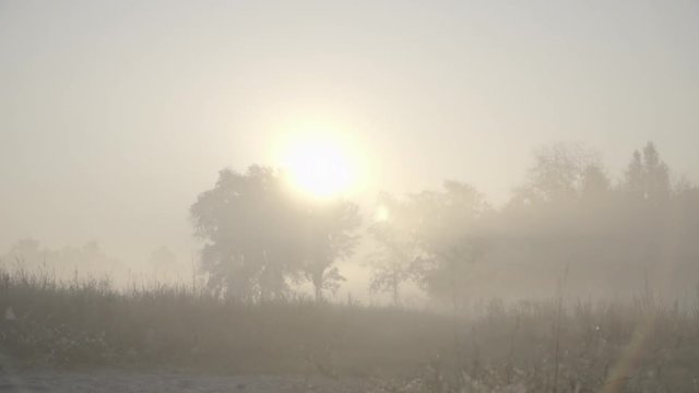 Sunrise in the fog