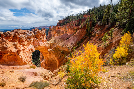 Bryce Canyon's Natural Bridge