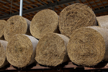 Packed hay on an agricultural complex. Billets for the winter.
