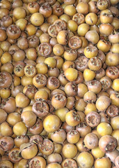 Loads of delicious Medlars