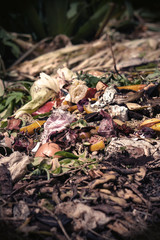 Bio waste warm tones, organic waste with pieces of lemons, onions and others fruits in decomposition.