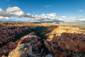 The Bryce Canyon Amphitheater at Golden Hour