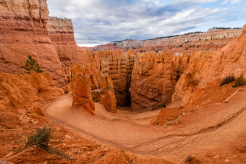 Wall Street of Bryce Canyon National Park