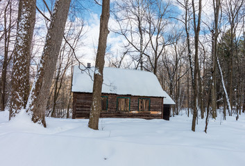 Sugar shack and old barn in a boreal forest Quebec, Canada.