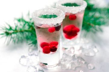 Cranberry Cocktail with Ice On White Background and Pine Tree Branches