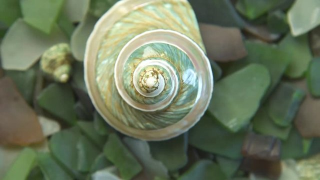 Rotating shell on seaglass background