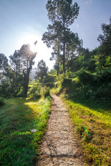 Fototapeta na wymiar Stepping Fields in Bageshwar, Uttarakhand, India