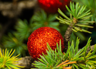 Christmas tree branch and balls, closeup for xmas decorations