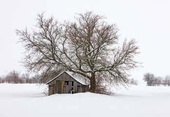 Fototapeta na wymiar Antique barn in a snowy winter scene in rural Quebec, Canada.