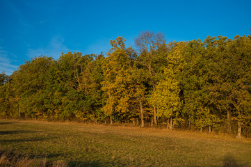 Fototapeta premium Landschaft im Herbst