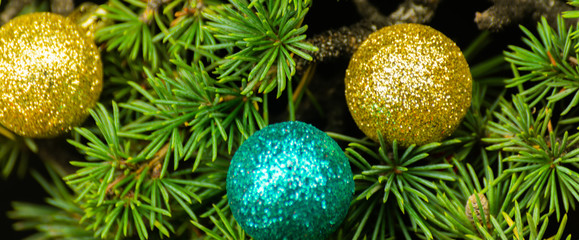 Christmas tree branch and balls, closeup for xmas decorations