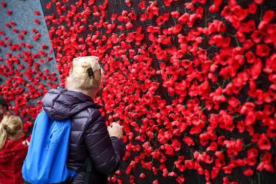 Poppies for Remembrance Day, Lest we forget. 