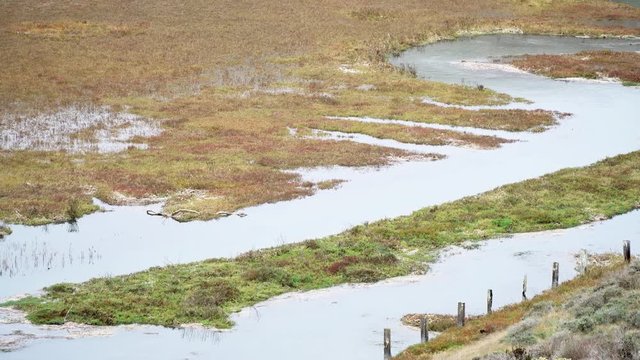Keys Creek on the north east side of Tomales Bay, north of San Francisco along the Pacific Coast Highway.  High tide flooding the salt marsh creek.  Low clouds and fog.