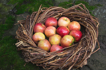 Fresh apples in a nest on concrete