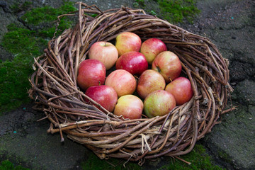 Fresh apples in a nest on concrete