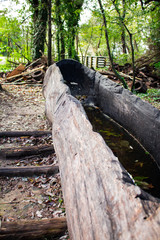 Old Canoe With Water