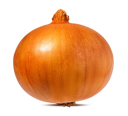 Fresh onion isolated on white background  with clipping path