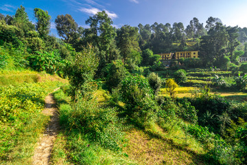 Fototapeta na wymiar Fields in Bageshwar, Uttarakhand, India