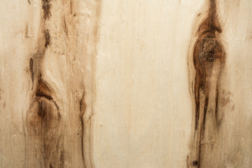 surface of a wooden board with dark knots and lines, birch texture, close up abstract background