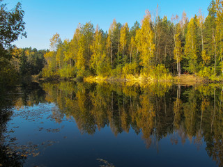 Fototapeta na wymiar Autumn forest with a beautiful lake in sunny day. Bright colorful trees reflected in calm water with fallen leaves