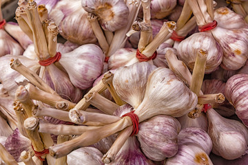 Garlic cloves for sale in French market