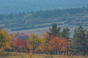 Landschaft im Herbst