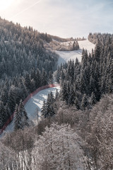 Snowy mountain and ski slope in the forest