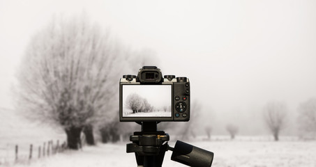 Camera and landscape with willows all covered with fresh, white snow - 231397986