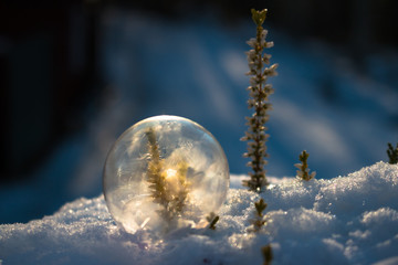 gefrorene Seifenblasen angestrahlt von der Sonne