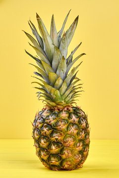 Pineapple on yellow background, front view. Ripe healthy ananas fruit on colorful background, vertical image.