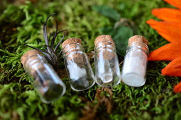 Adorable miniature bottles, fresh herbs and crystal bottles. Apothecary bottle set, cute little crystal vials, witchy decor. Wiccan ritual crystals with fresh flowers. 