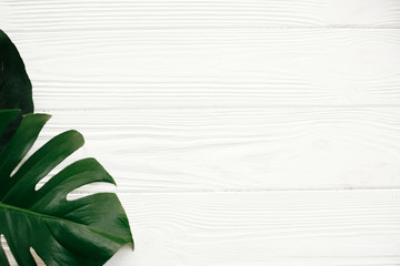 Monstera leaves flat lay. Stylish green monstera leaves on white wooden background top view with space for text. Hello summer. Zero waste and eco friendly concept. Spa and wellness.