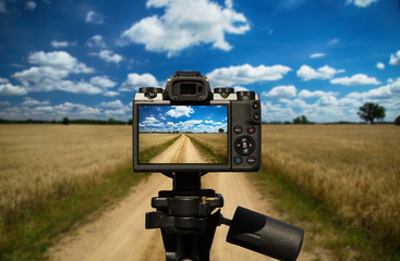 Camera and Sandy road going through the cereal fields with blue sky and white clouds.