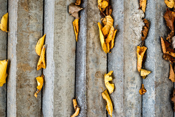 Tekstura kamienie 3 © Maurycy