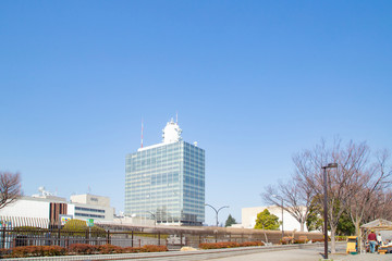 渋谷区役所前交差点とケヤキ並木