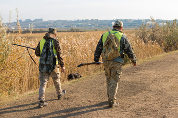 Hunters with a german drathaar and spaniel, pigeon hunting with dogs in reflective vests	