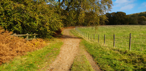 Naklejka premium Autumn walk in the hills