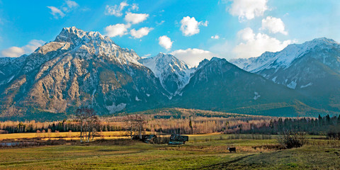 Spectacular Autumn Scenery with rugged snow-covered peaks of Roger de Boule Mountain Range with a meadow and a Cow watching near two old cabins in the forground.