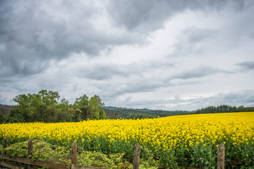 southern chile