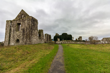 Fototapeta na wymiar A path leads through a green pasture to the ruins of the Cathedral of Saint Peter and Paul in Trim, Ireland