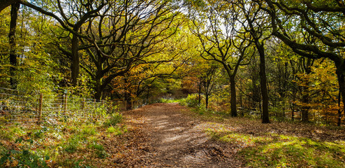 Fototapeta premium Autumn walk in the hills