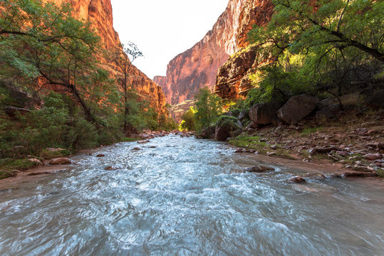 Havasu Creek Havasupai