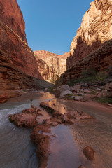 Havasu Creek Havasupai