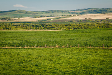 Fresh green countryside of Southern Alberta, province of Canada