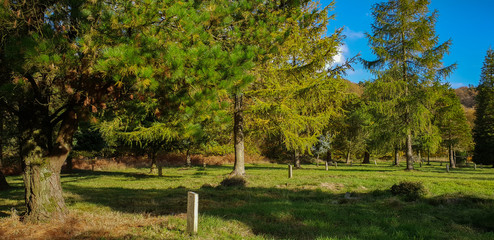 Autumn walk in the hills