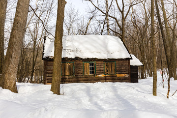 Sugar shack. Deep in a boreal forest Quebec Canada  lies this deserted sugar shack frozen in the...