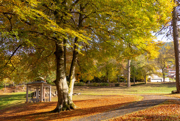 Park in Bad Wildbad